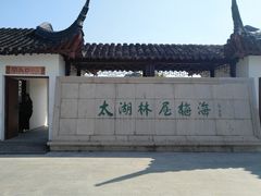 -林屋梅海青梅保护基地