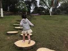 -铁山坪森林公园