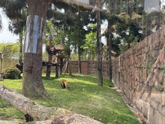 -福州罗源湾海洋世界旅游区