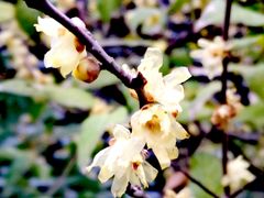 -神旺大酒店-停车场