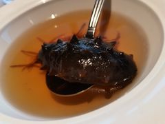 陈皮海参-冰火楼(梦泽园店)