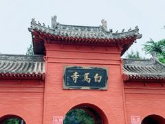 -洛阳白马寺