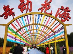 -金塔沙漠胡杨林景区