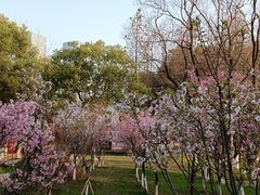-艾溪湖湿地公园