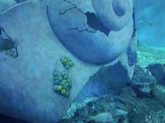 -多彩贵州城极地海洋世界