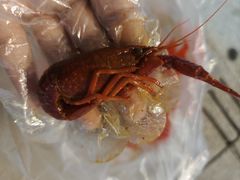 -绝味鸭脖(花园路店)