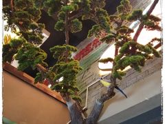 -田趣园长沙菜(天安云谷店)