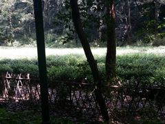 景点-杭州黄龙洞