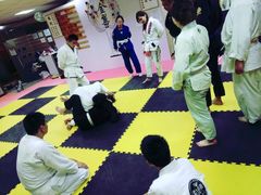 -金翼跆拳道巴西柔术拳击格斗学院