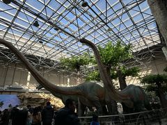 -国家自然博物馆