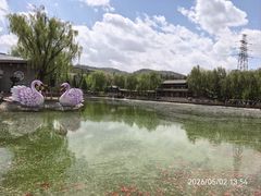 -金城公园