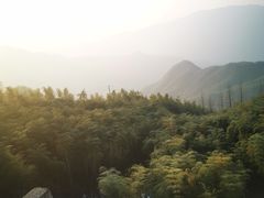 -江南天池