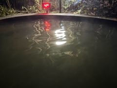 -林丰温泉度假山庄