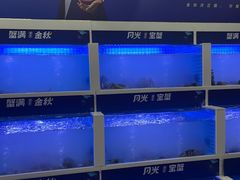-蟹状元大闸蟹·年货·粽子(成都成华店)