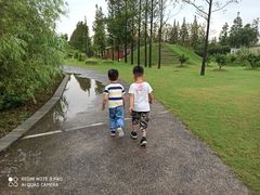 -前小桔亲子创意农场·草莓采摘·露营烧烤