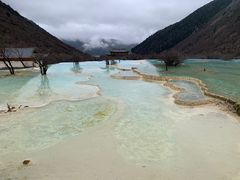-黄龙山原始森林景区