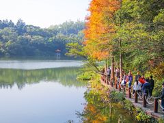 -深圳仙湖植物园