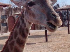 -济南野生动物世界