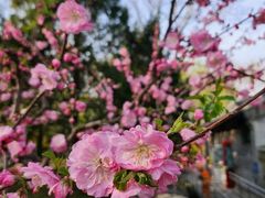 -玲珑塔公园