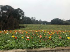 -保利石象湖景区