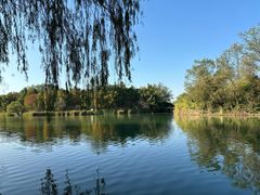 -中国湿地博物馆