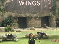 -新加坡飞禽公园