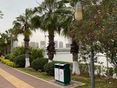 -五缘湾湿地公园