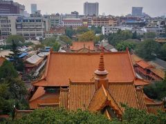 -昆明动物园