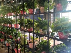 -鱼乐圈·烤鱼王·烧烤(博乐店)