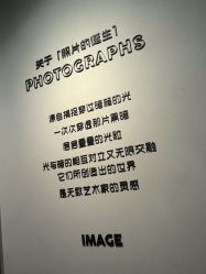 -大树儿童摄影