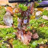 跑绵阳就为这口蒜蓉蟹肉粉丝‼️新品巨好吃！