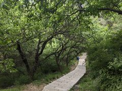 -大连金龙寺国家森林公园-售票处