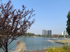 -美兰湖景区