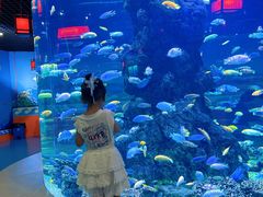 -长春中泰海洋世界