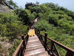 -大岭沟猕猴桃谷风景区