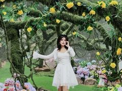 -洛阳白云山景区