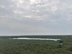 -北海金海湾红树林生态旅游区