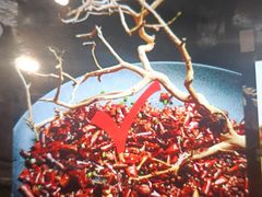 -老房子金沙元年川菜食府·花园餐厅(金沙店)