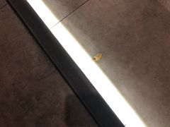 -龙记烧腊茶餐厅(常德路店)