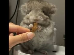 -龙猫仔乐园(惠福东路店)