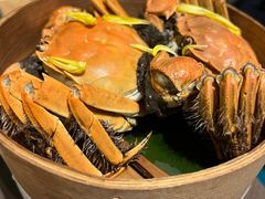 -蟹榭·本帮江浙菜·蟹宴(虹桥高岛屋百货店)