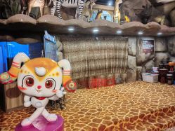 点击看大图 -卡通尼·Safari非洲探索乐园·生日会(金桥国际商业广场店)