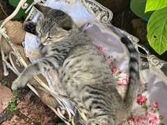 -荒度咖啡(北九水店)