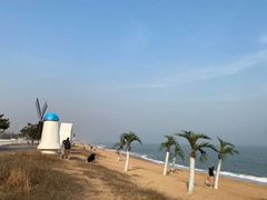 -渡海小渔村.老辈日照菜