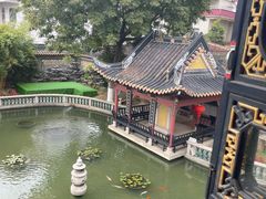 -碧江金楼