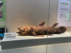 -国家自然博物馆