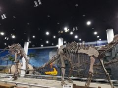 -吉林省自然博物馆