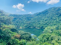 -鼎湖山风景区