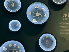 -中国湿地博物馆