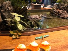 -森味薪火烧•烧鸟居酒屋•日本料理(望京店)